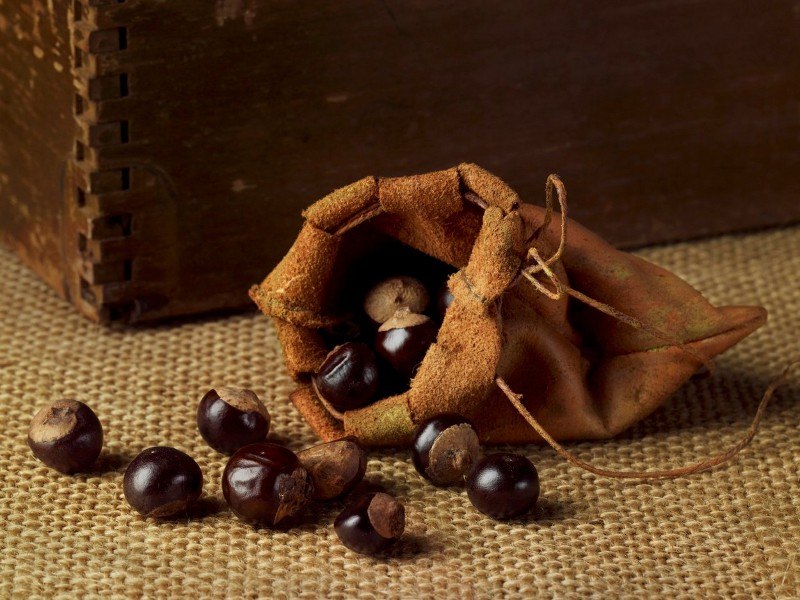 guarana
