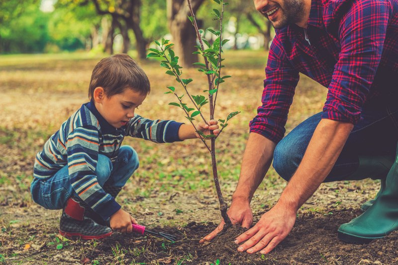 vrt