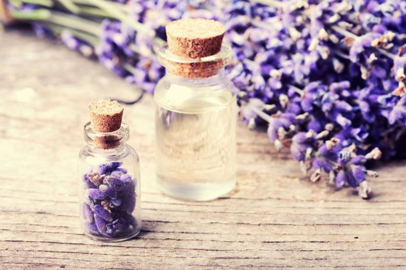 lavanda aromaterapija