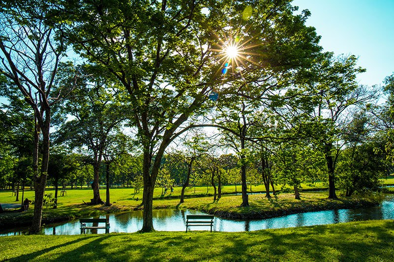 park