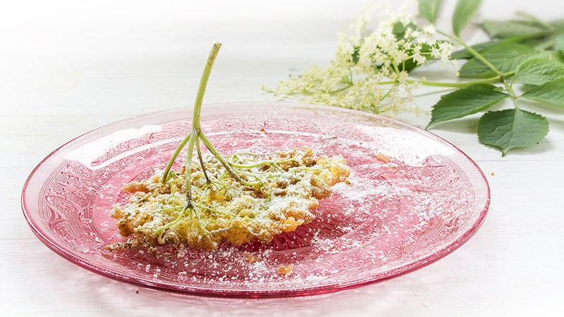 hrana pohani cvjetovi bazge