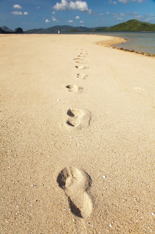 priroda plaža