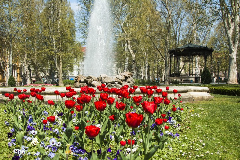 zrinjevac