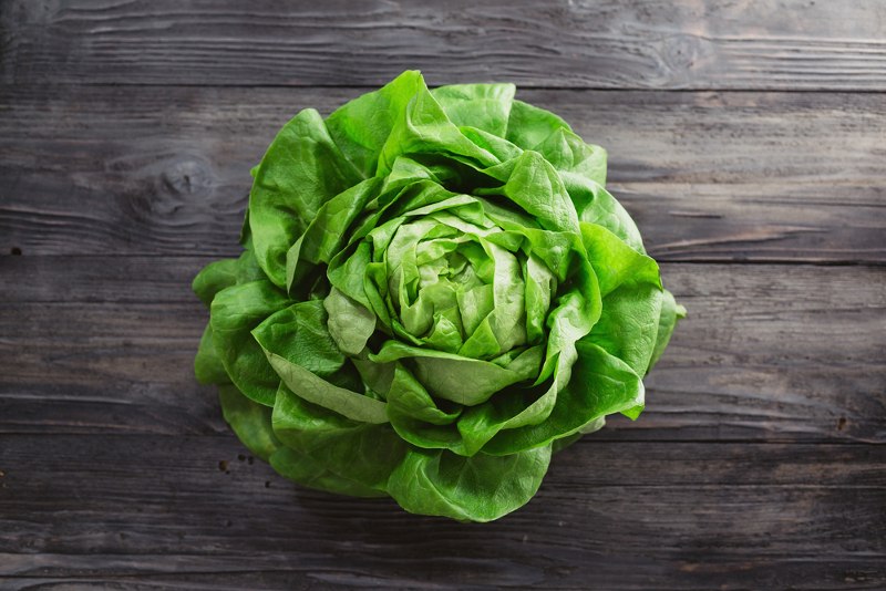 salata