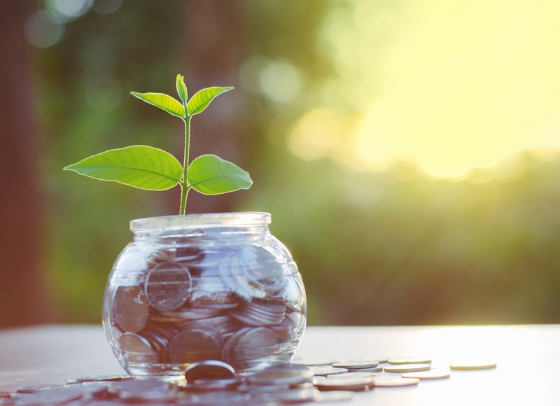 novac