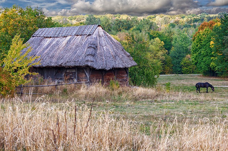 polje koliba konj