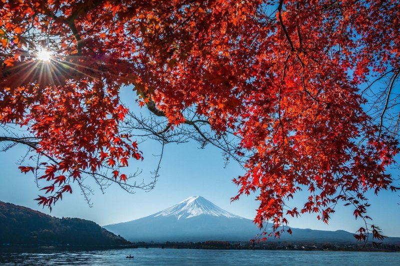 japan priroda