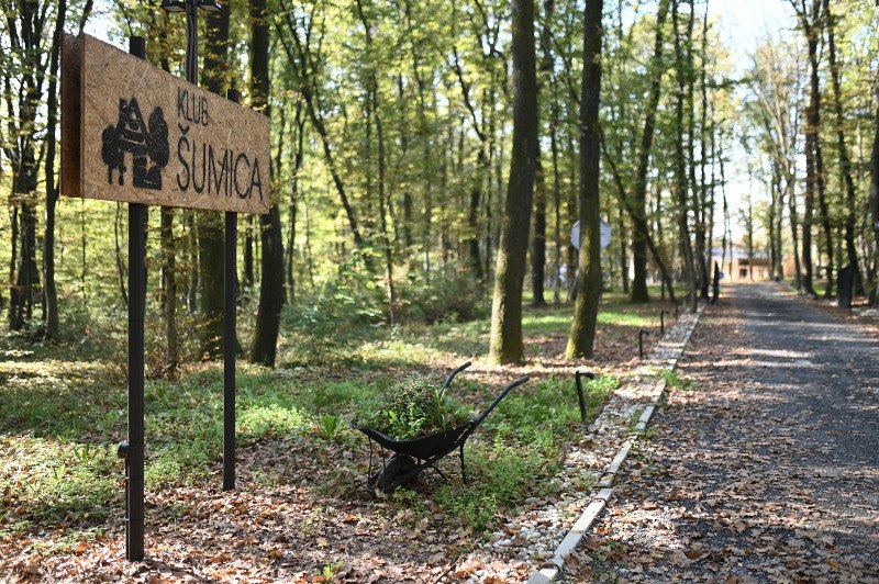 šumica