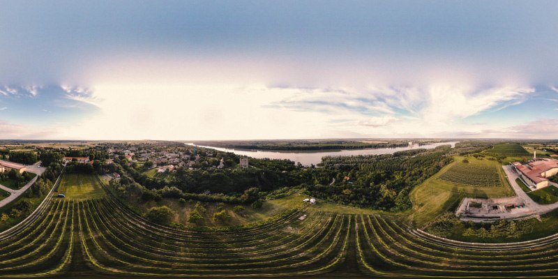 erdut vinograd