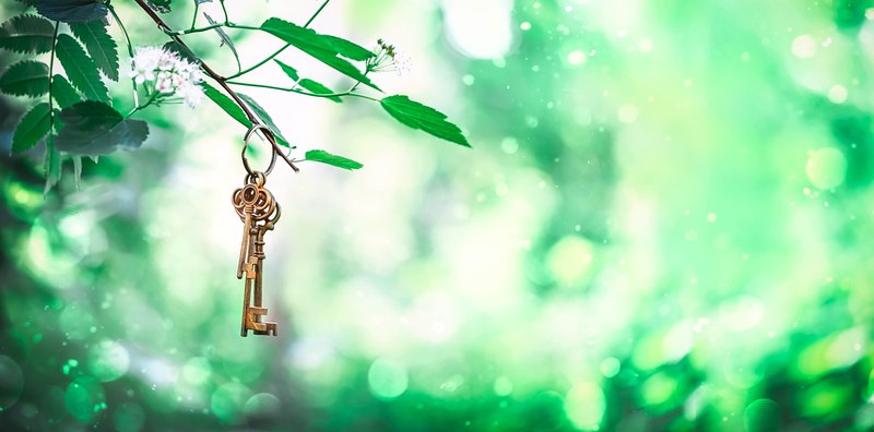 ključ, priroda, dugovječnost