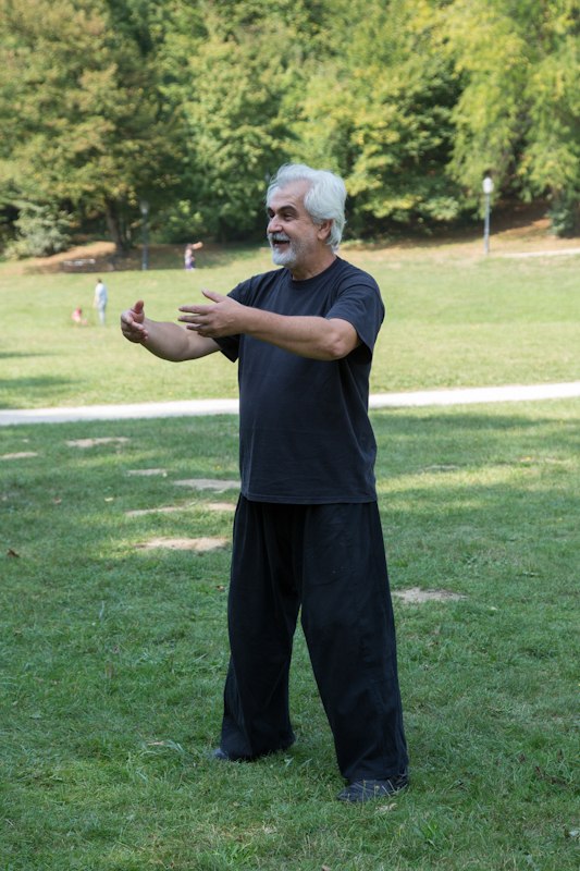 tai chi, 13. Sensa dan