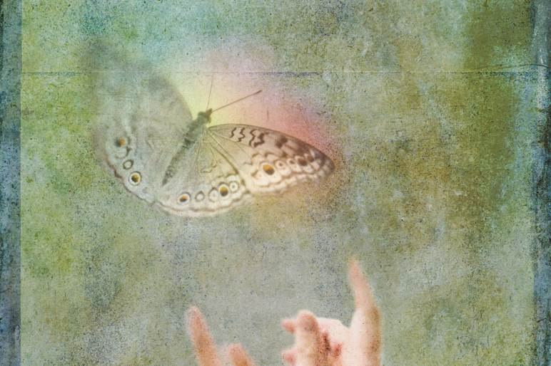 shutterstock_154458863