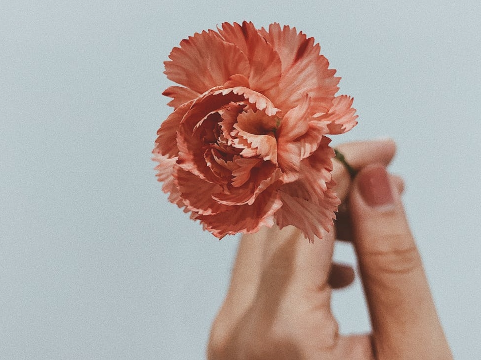 Louise Hay citati o životu i sreći