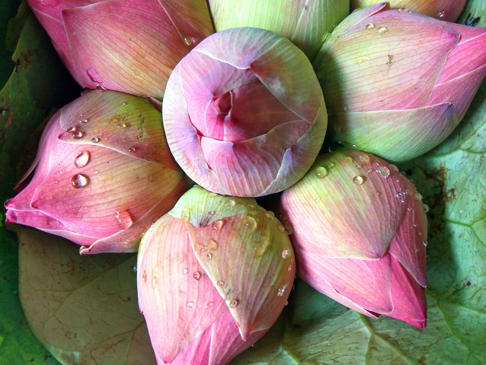 Vođena meditacija za buđenje čakri