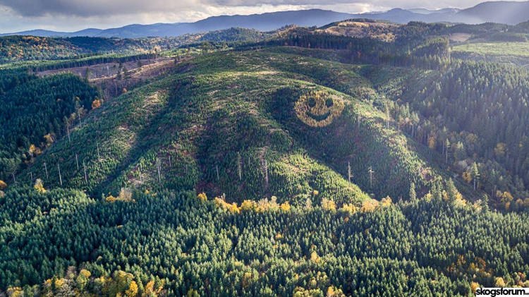 Smajlić iz Oregona