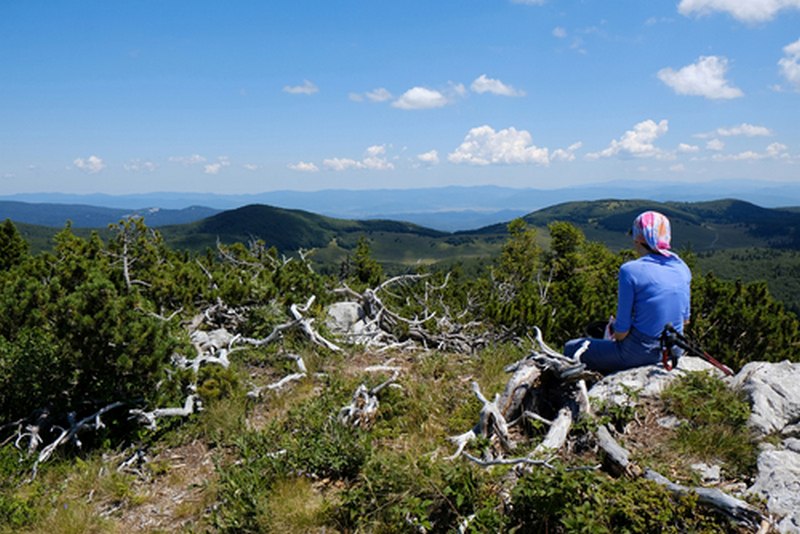 Premužićeva staza