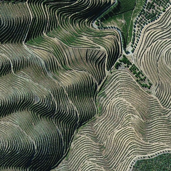 Vinska regija Alto Douro, Portugal