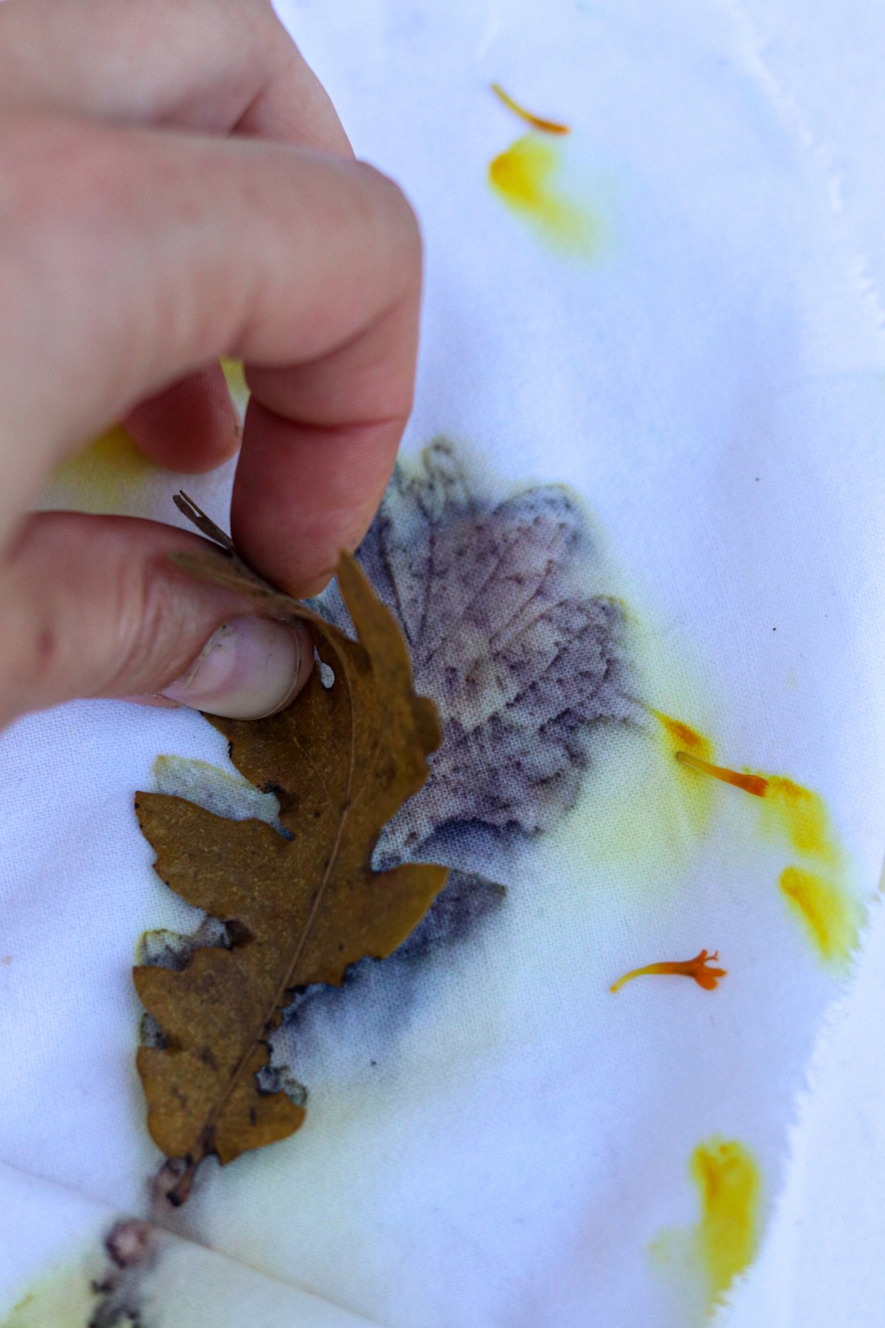 Eko print list hrasta.jpg