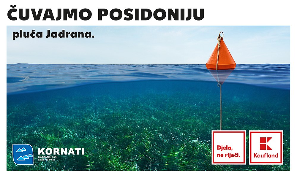 Kaufland_Posidonija_KV (1).jpg
