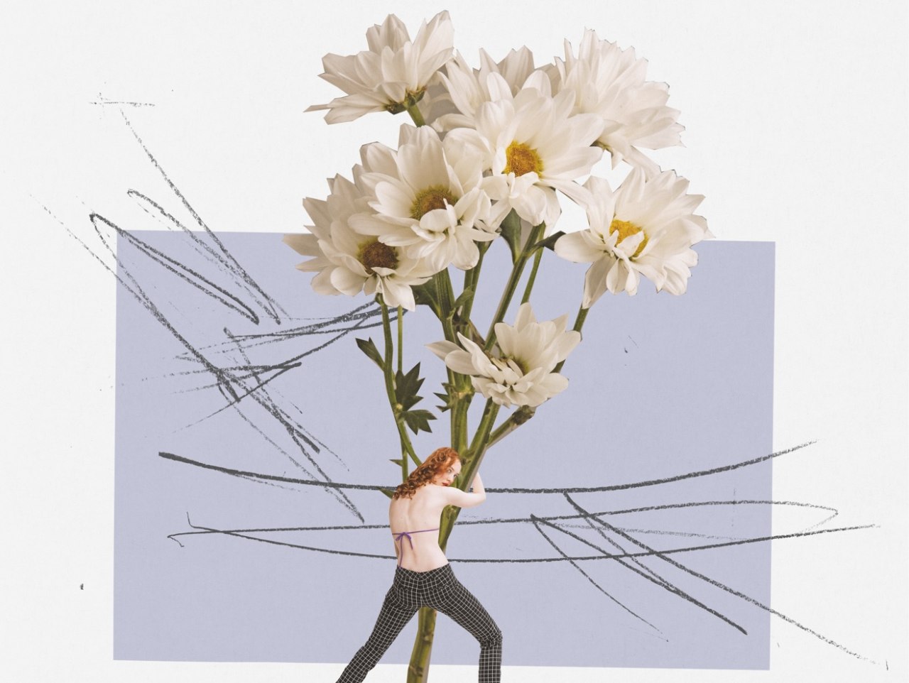 ilustracija.jpg