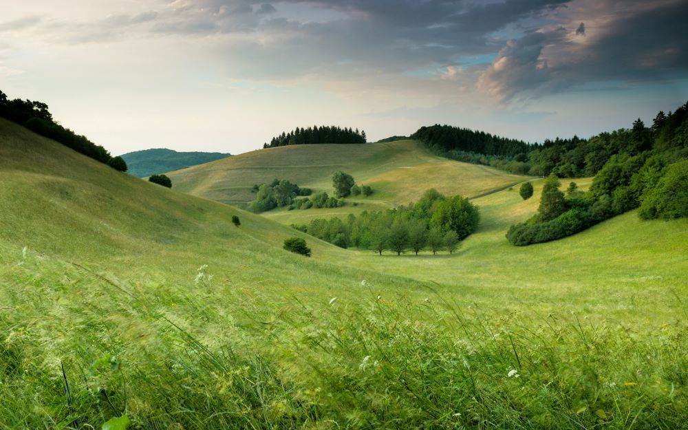 test osobnosti .jpg