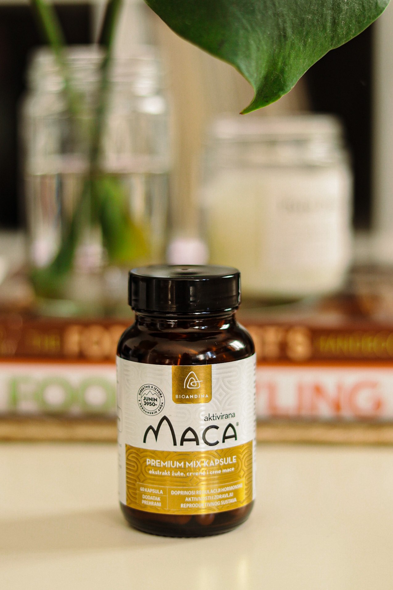 Maca