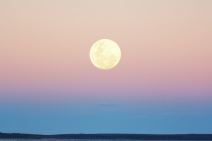 pun mjesec u strijelcu