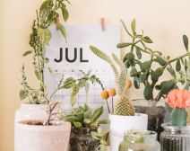 astro prognoza za srpanj 2024.jpg