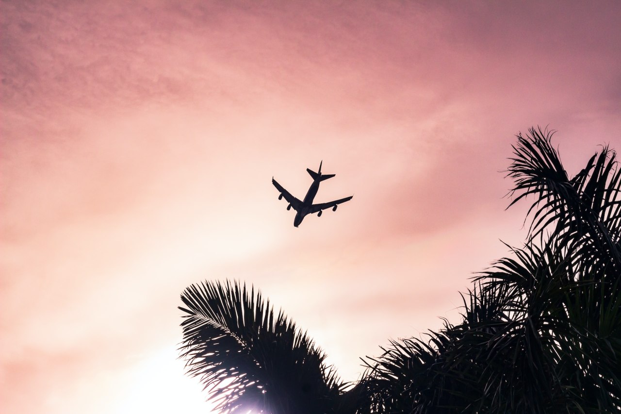 avion