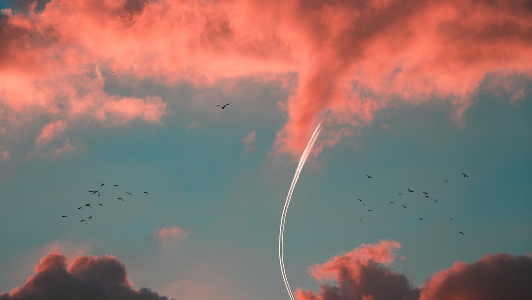 horoskop