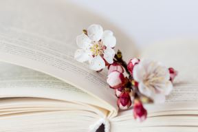 citati dobriše cesarića