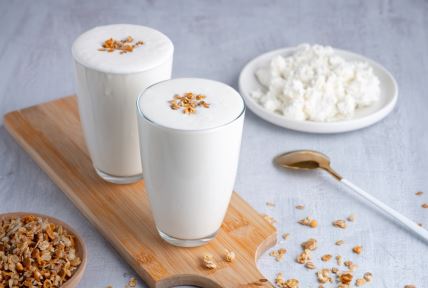 fermentirana hrana