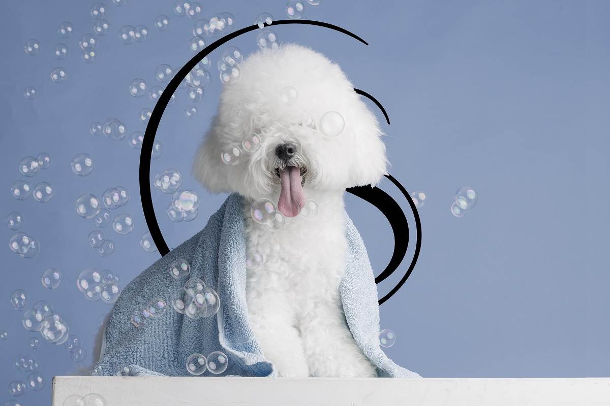 Najpoželjniji proljetni modni komadi sniženi 40 posto