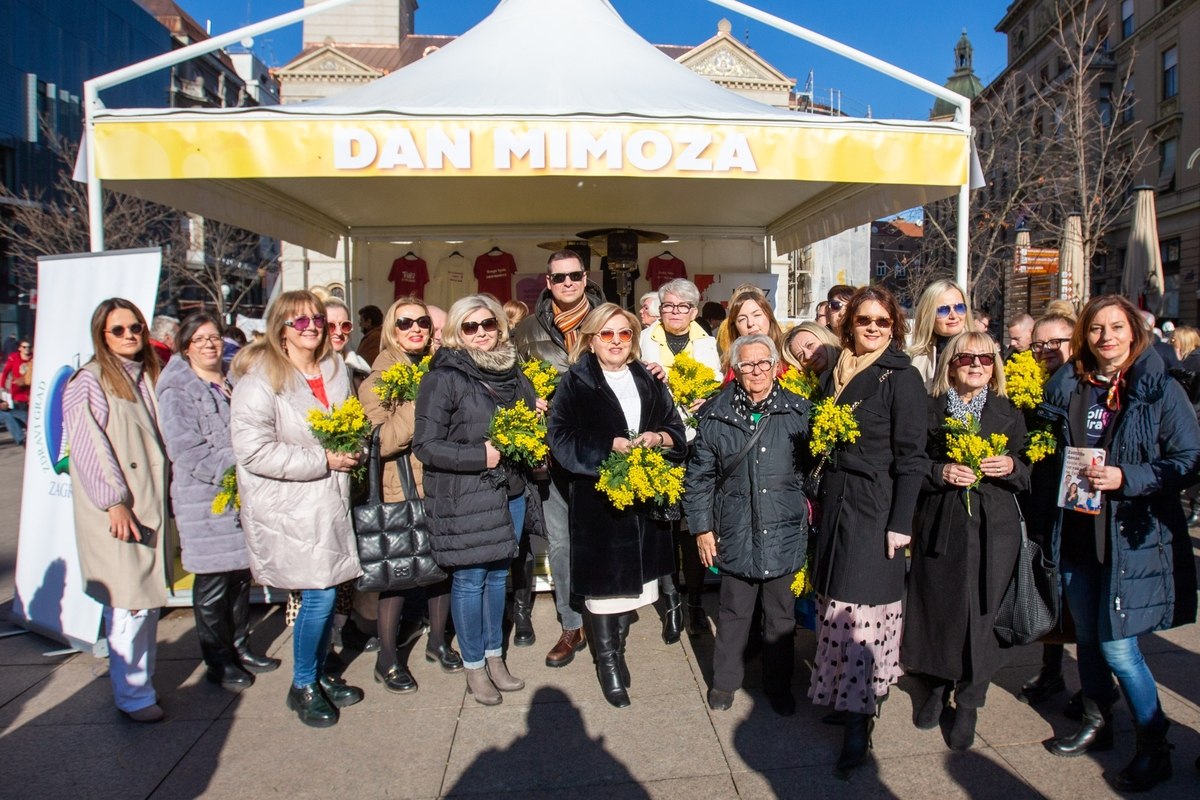 3 Dan mimoza.jpg