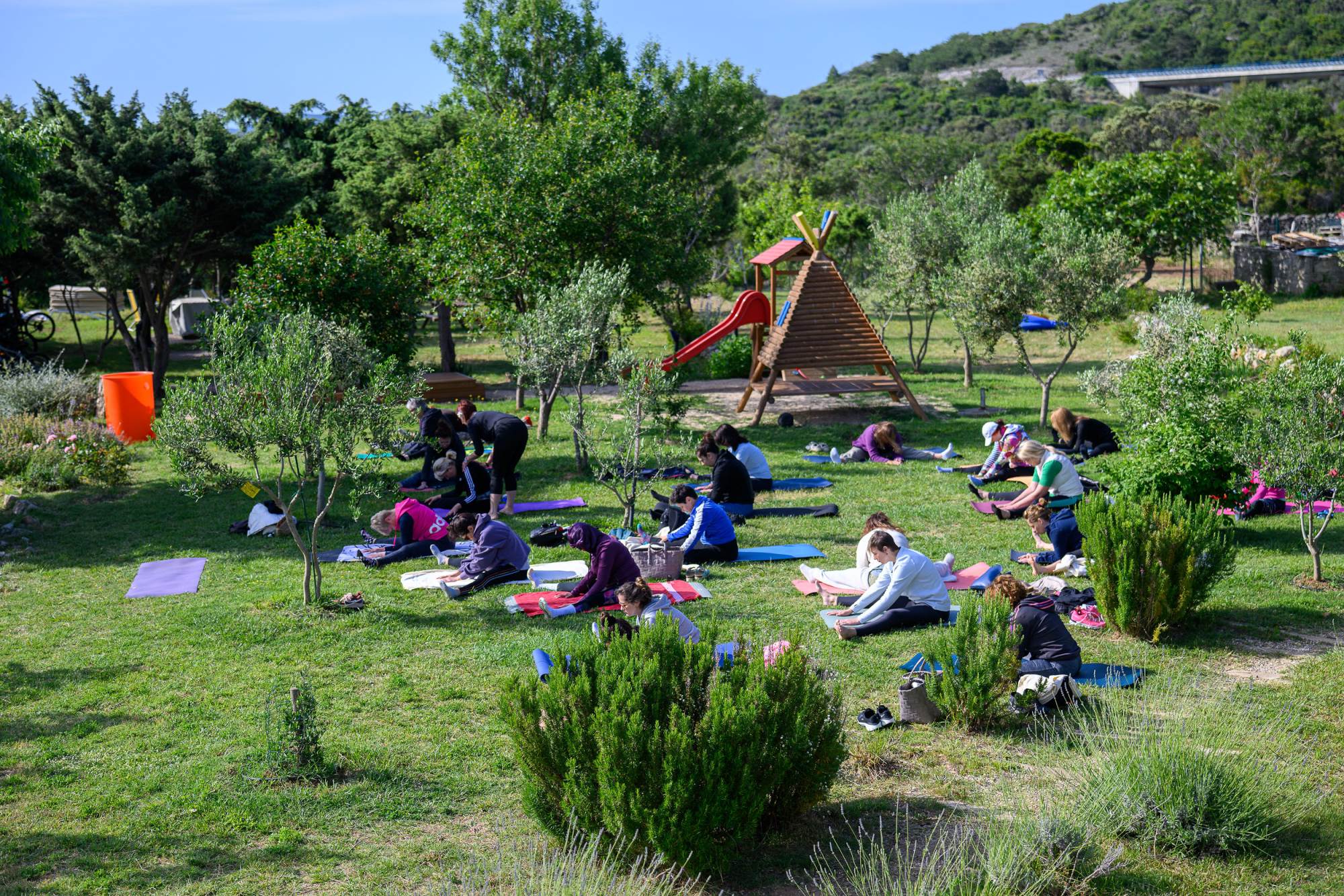 Nedjelja_Aromatičniyinyogasat12.jpg