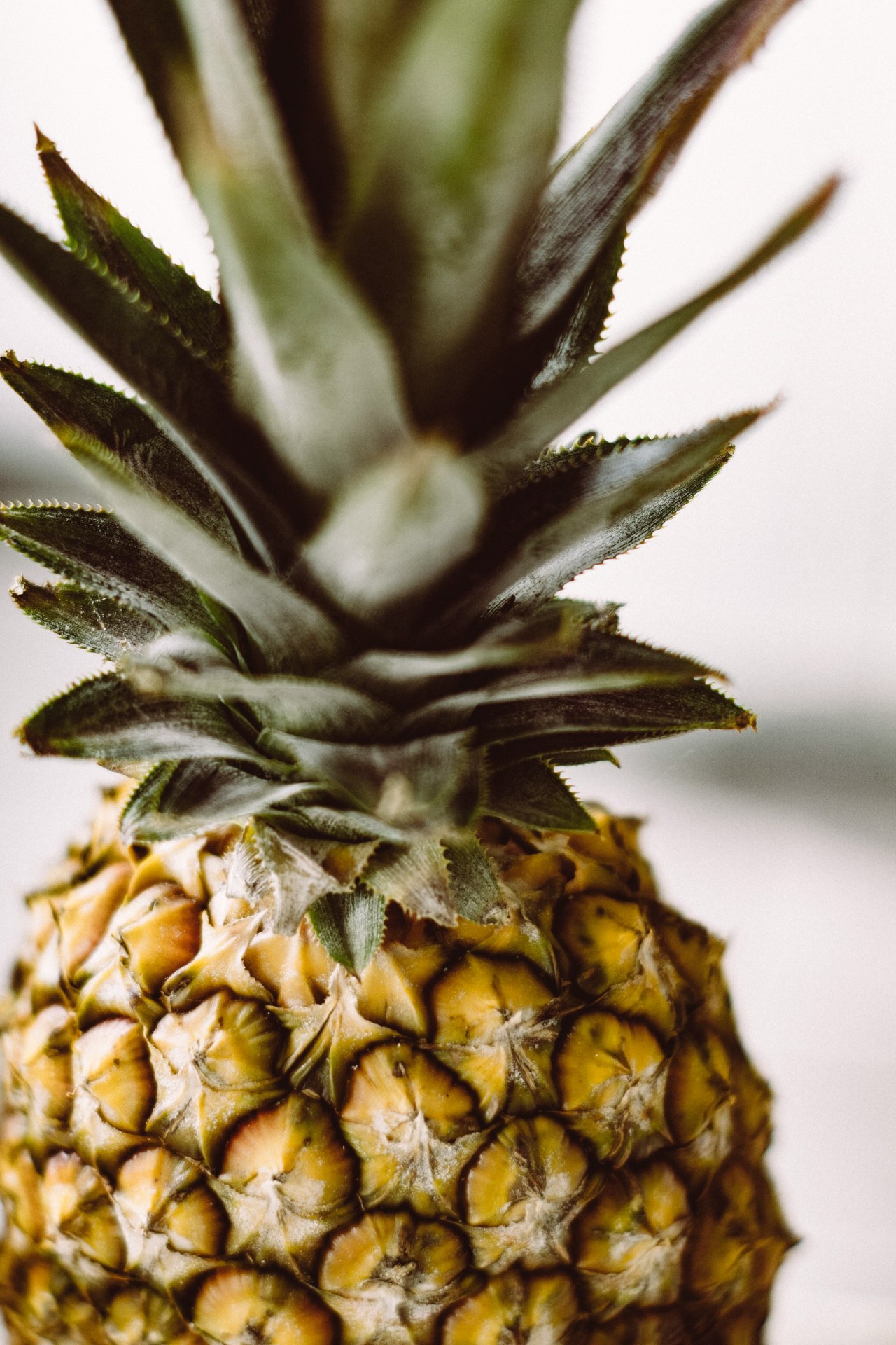 ananas