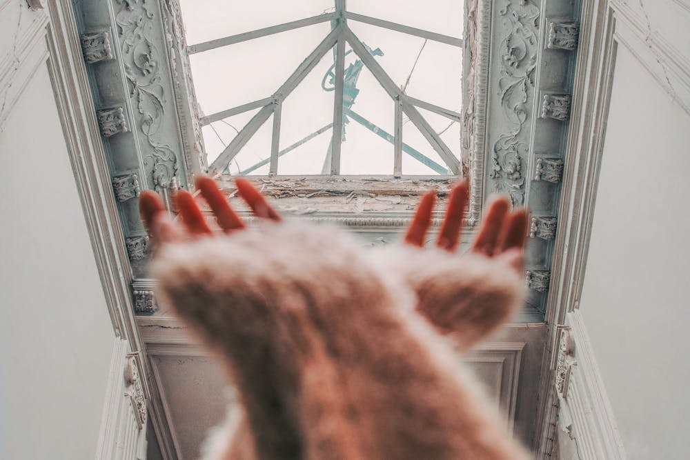 prijestupna godina 2024