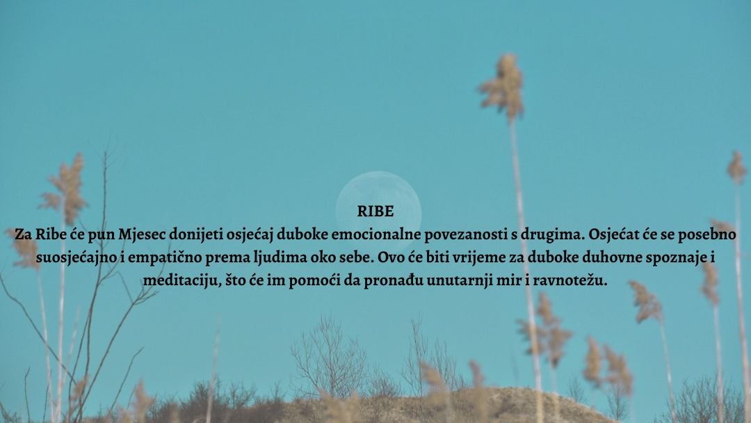 Pun Mjesec