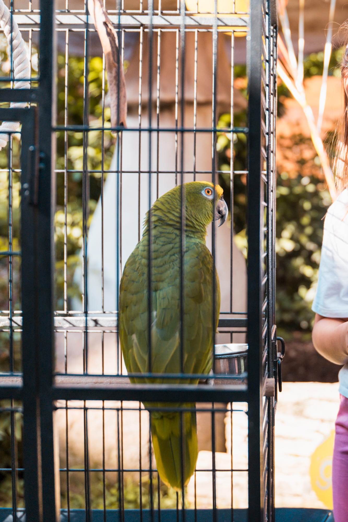 Cubismo i egzotične papige na rođendanu zagrebačkog restorana Botanist koji će se dugo prepričavati