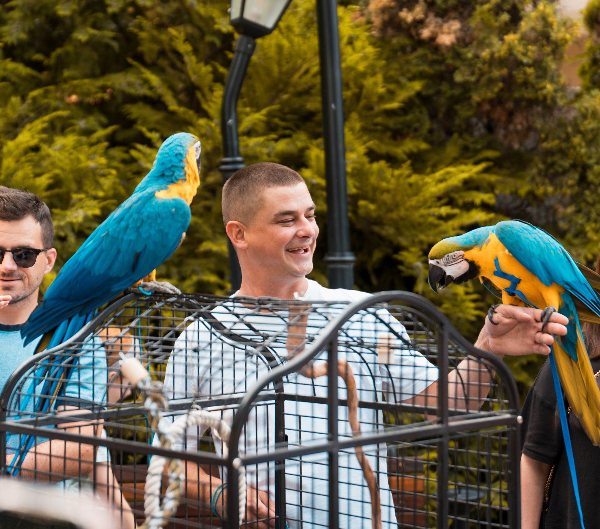Cubismo i egzotične papige na rođendanu zagrebačkog restorana Botanist koji će se dugo prepričavati