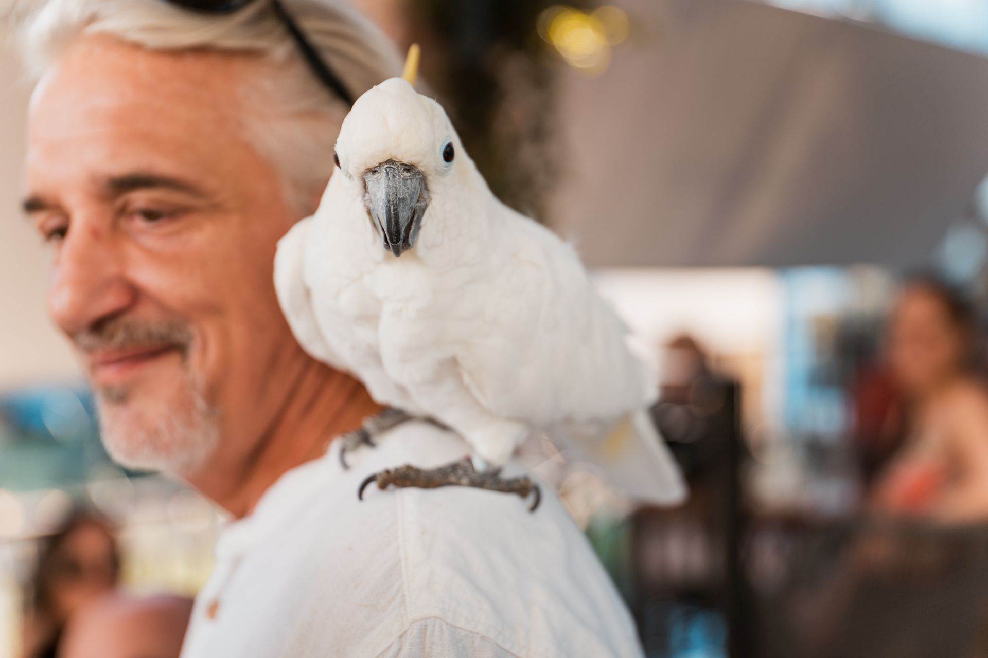 Cubismo i egzotične papige na rođendanu zagrebačkog restorana Botanist koji će se dugo prepričavati