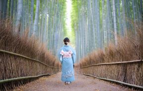 Japan šuma.jpg