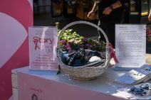 Zajedno prema ružičastijoj budućnosti: Održan još jedan Story Pink Fest uz nevjerojatan odaziv građana