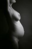 trudnica