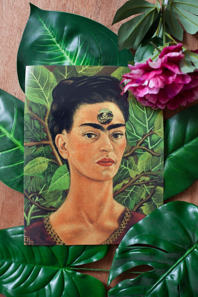 frida inspiracija