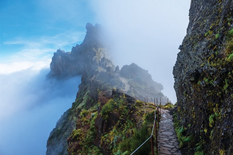 madeira