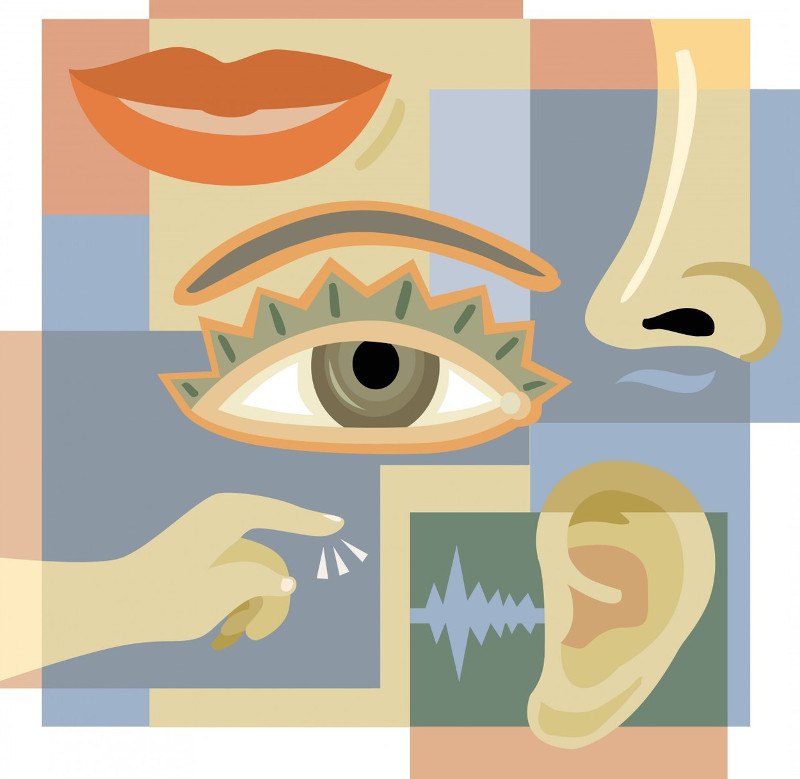 pet osjetila, ilustracija