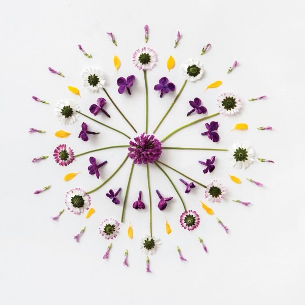 cvjetne mandale inspiracija 1