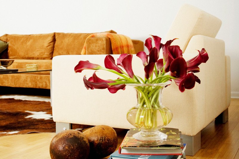 uređenje doma, dnevni boravak