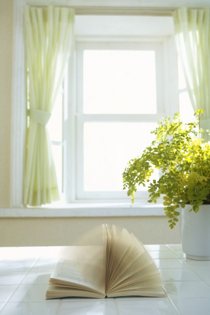knjiga, prozor